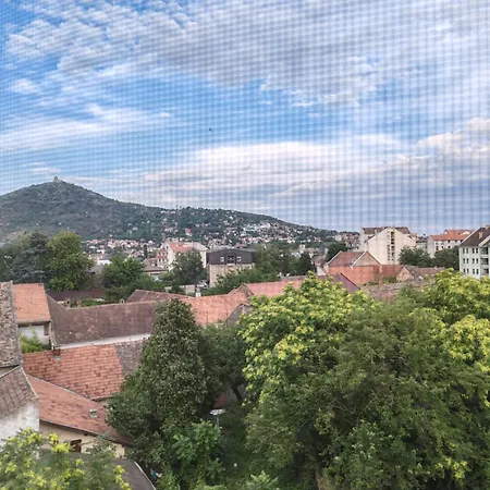 N&s Apartment Vrsac